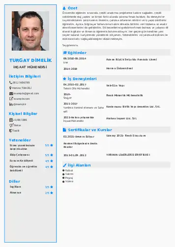 İnşaat Mühendisi Cv Örnekleri cv indir